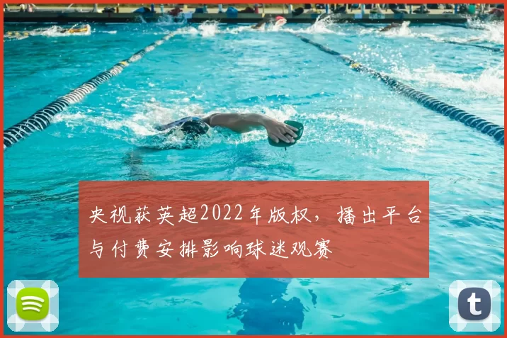 央视获英超2022年版权,播出平台与付费安排影响球迷观赛