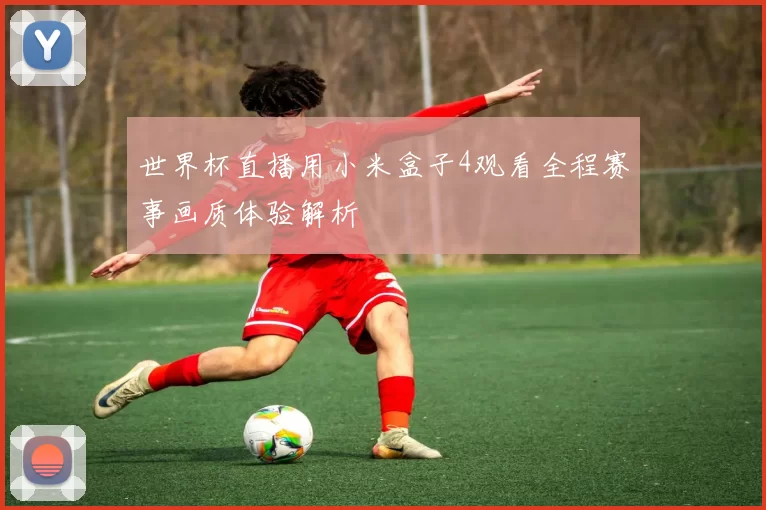 世界杯直播用小米盒子4观看全程赛事画质体验解析