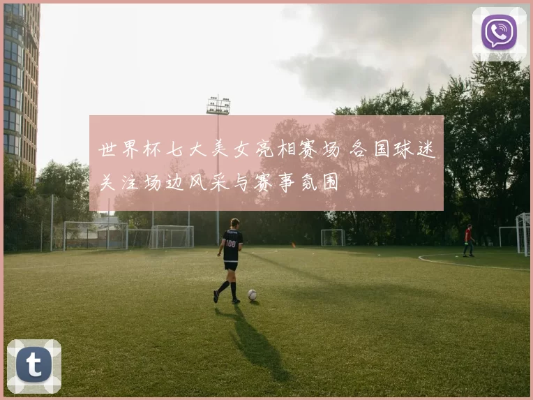 世界杯七大美女亮相赛场 各国球迷关注场边风采与赛事氛围